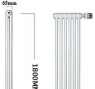 Вертикальный радиатор Arbonia 2180/08 N69 твв